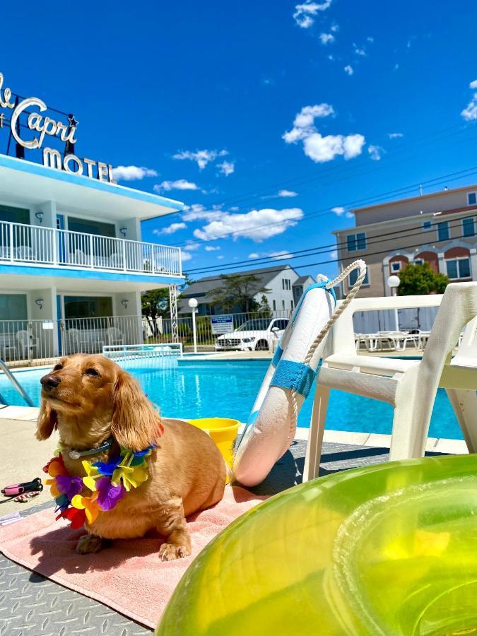 Isle Of Capri Motel Норт-Вілдвуд Екстер'єр фото